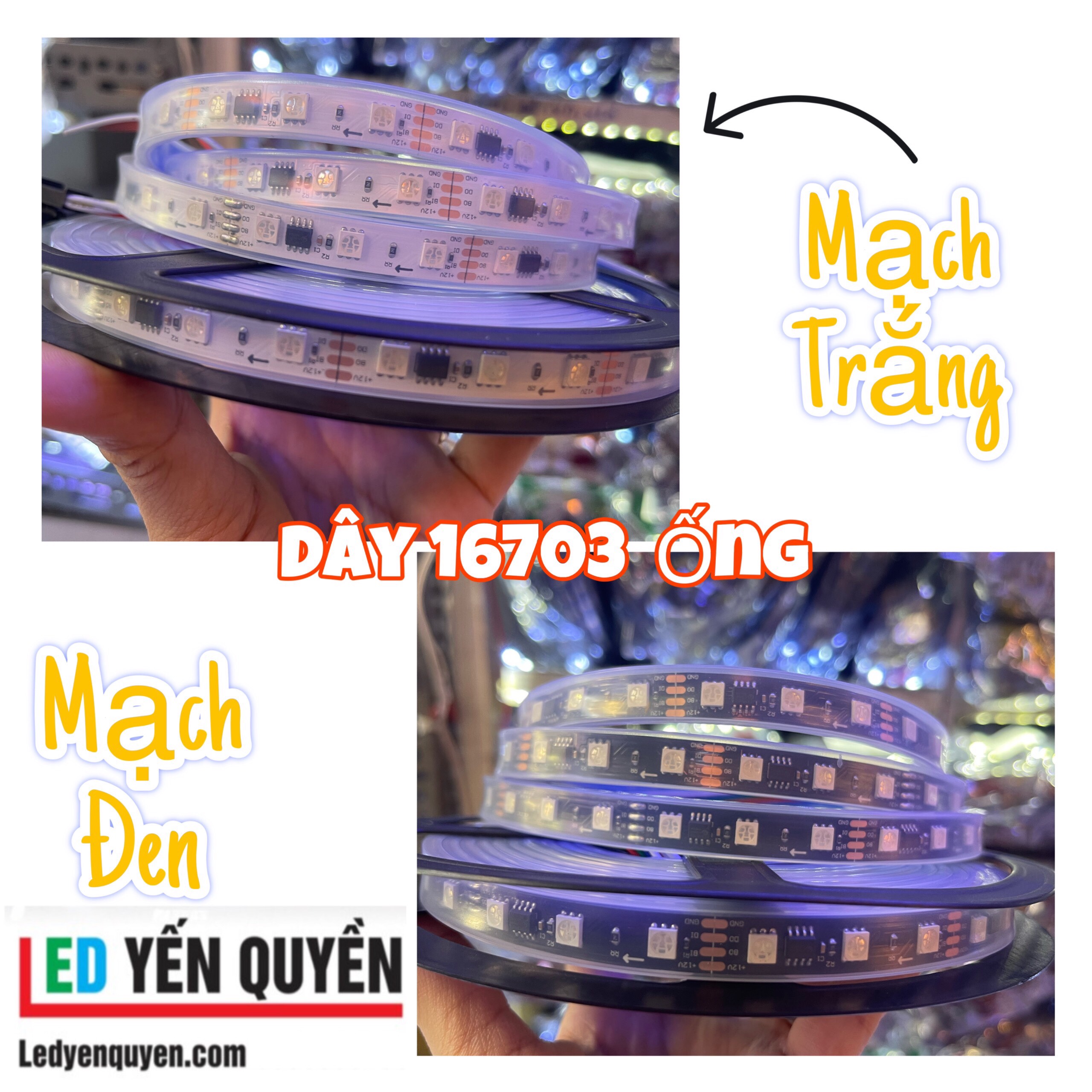 Led dây 16703 full 12v ống  5 mét 